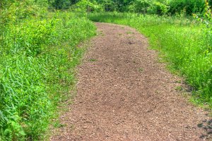 Audobon path